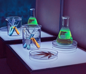 CREEZ VOTRE HUILE DE CBD